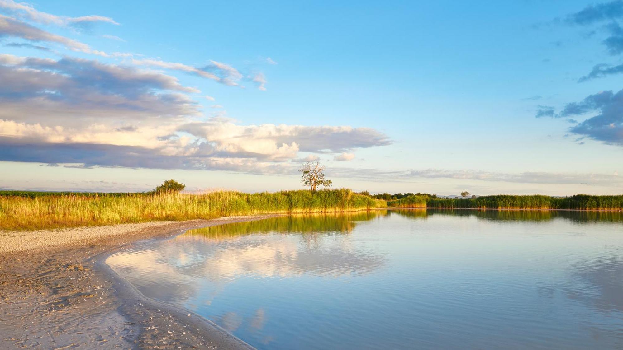 Pannonia Apartments Mörbisch am See Dış mekan fotoğraf