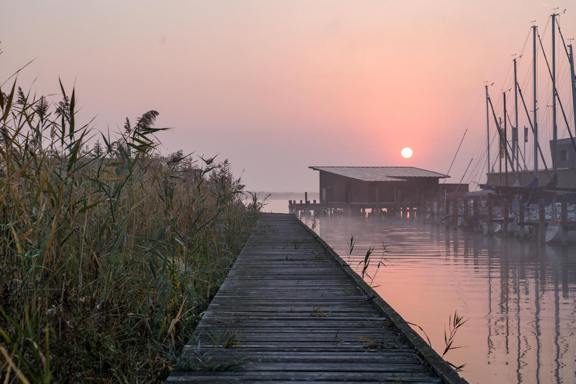 Pannonia Apartments Mörbisch am See Dış mekan fotoğraf
