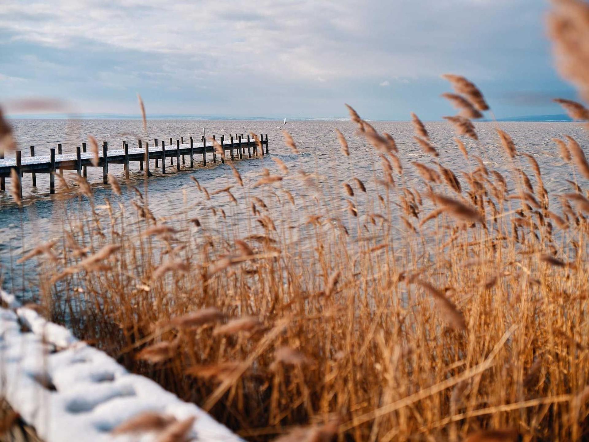 Pannonia Apartments Mörbisch am See Dış mekan fotoğraf